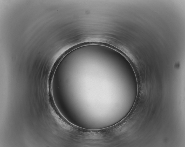 X0000089360980200706221156