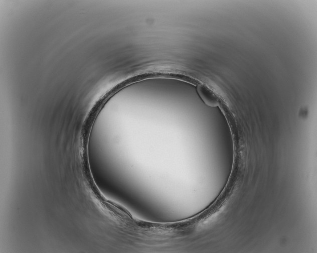 X0000089360981200706221156