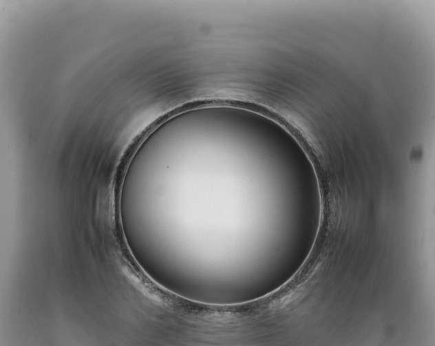 X0000089360982200706221156