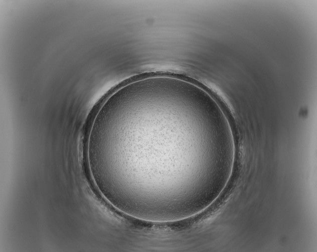 X0000089360983200706221156