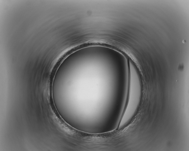 X0000089360984200706221156