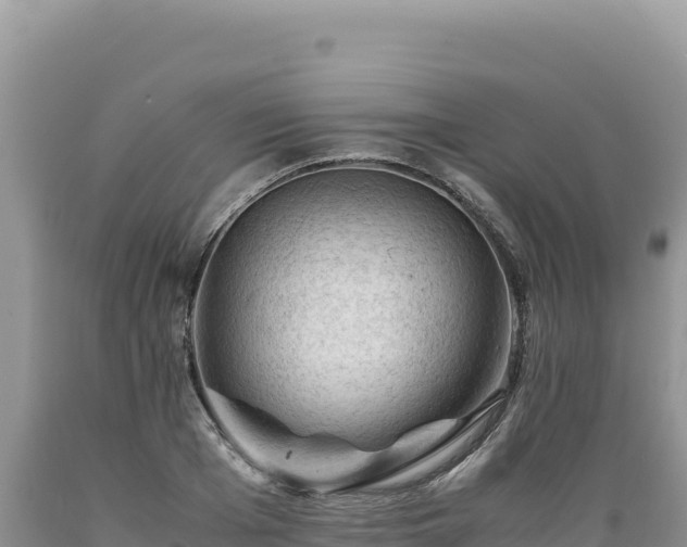 X0000089360985200706221156
