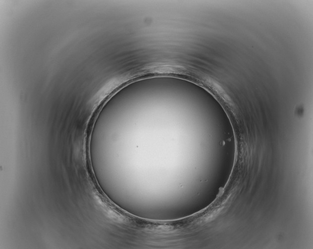 X0000089360986200706221156