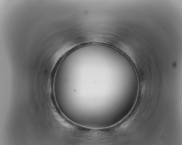 X0000089360987200706221156