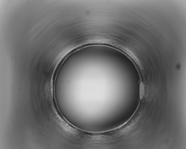 X0000089360988200706221156