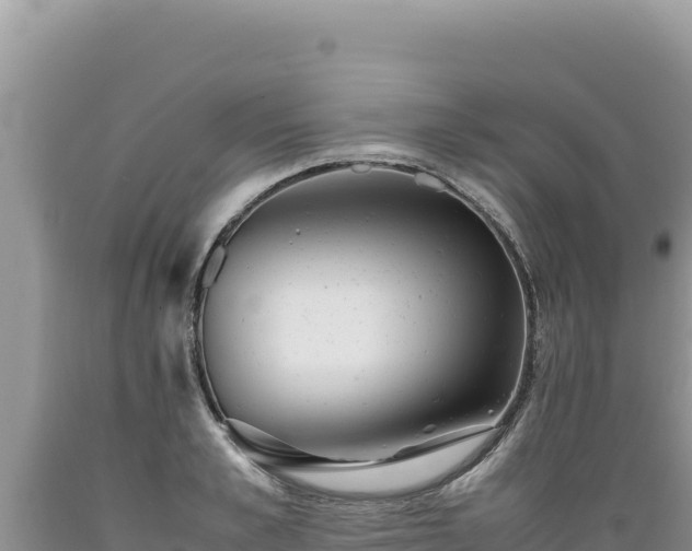 X0000089360989200706221156