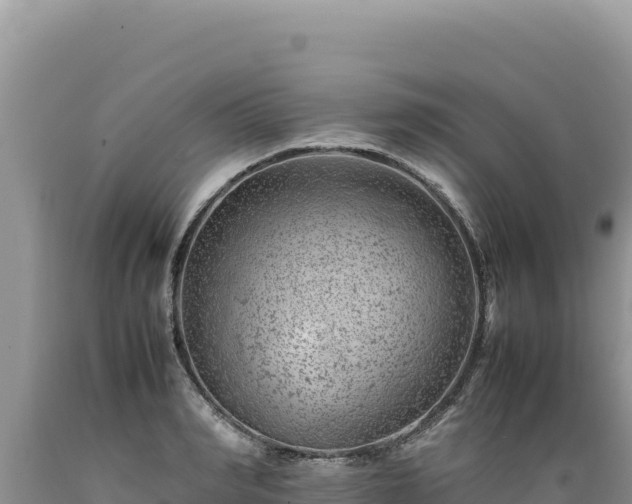 X0000089360990200706221156