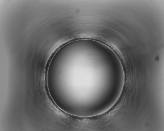 X0000089360992200706221156