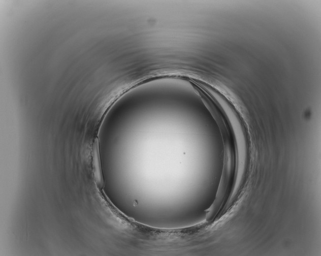 X0000089360993200706221156
