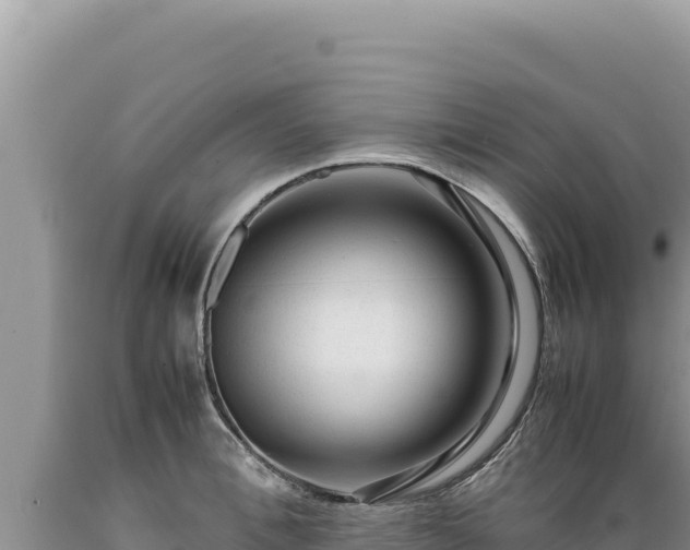 X0000089360996200706221156