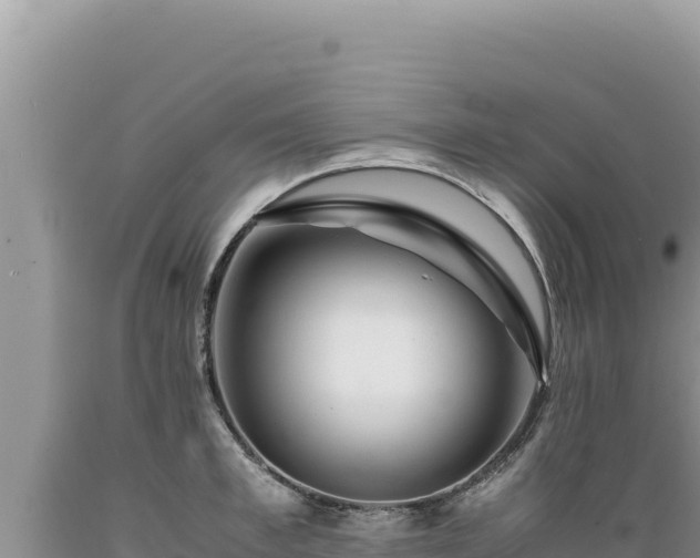 X0000089360997200706221156