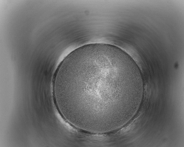 X0000089360998200706221156