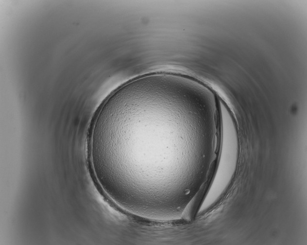 X0000089360999200706221156