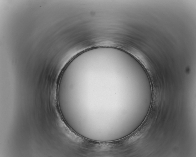X0000089361000200706221156