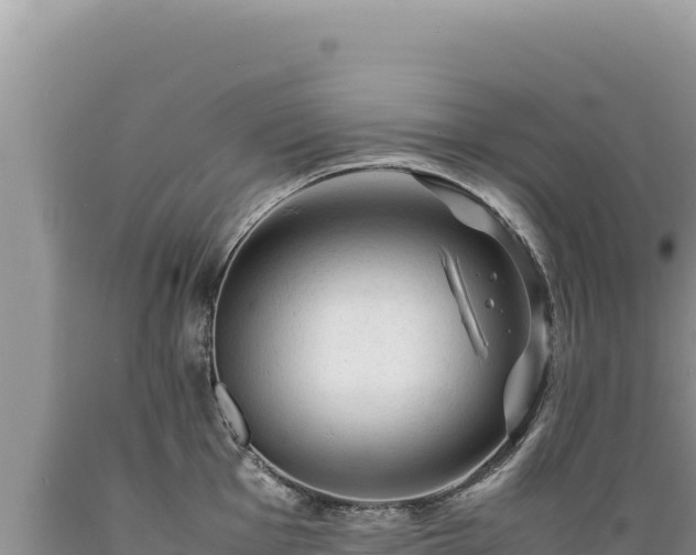 X0000089361001200706221156