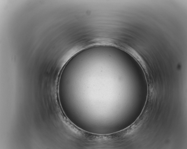 X0000089361002200706221156