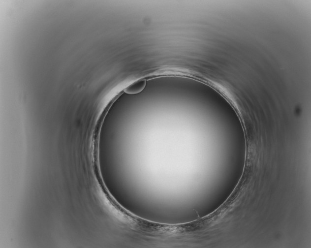 X0000089361003200706221156
