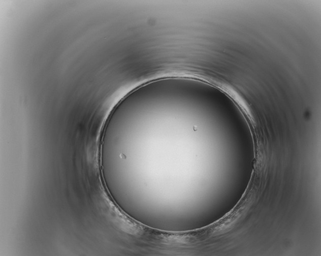 X0000089361004200706221156