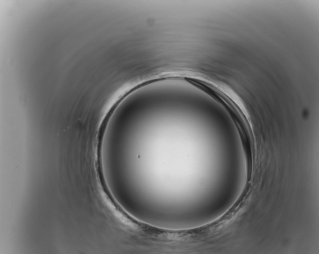 X0000089361005200706221156