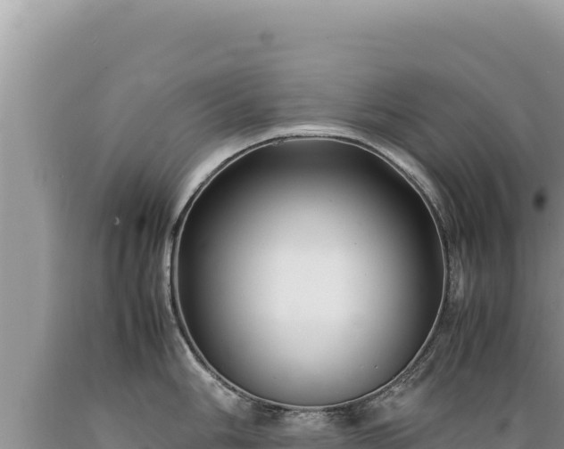 X0000089361006200706221156