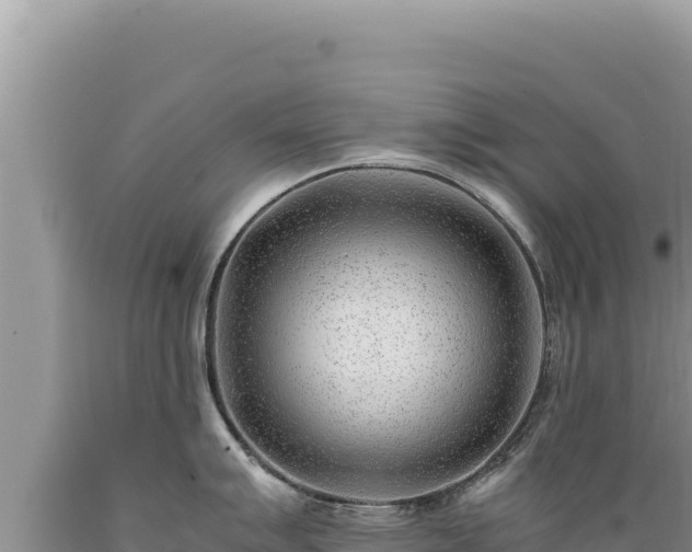 X0000089361007200706221156
