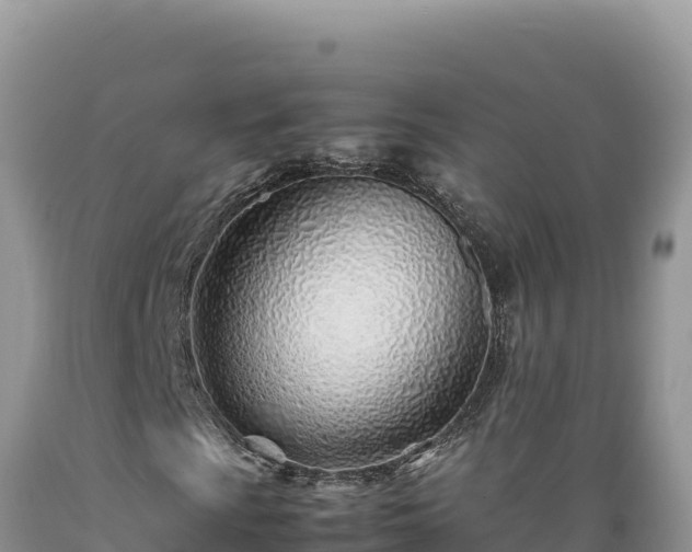 X0000089361009200706221155