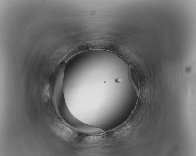 X0000089361010200706221155
