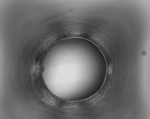 X0000089361011200706221155