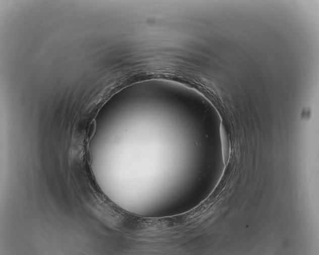 X0000089361012200706221155