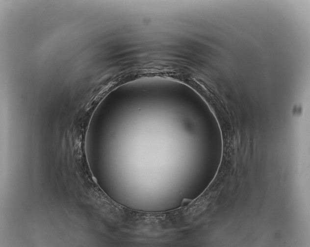 X0000089361013200706221155