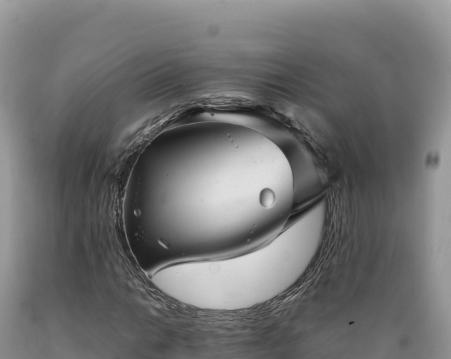 X0000089361014200706221155