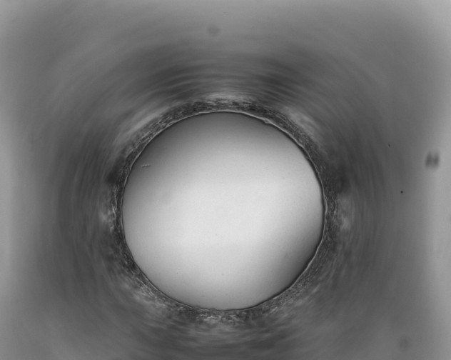 X0000089361015200706221155