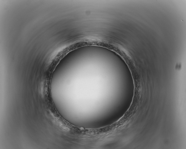 X0000089361016200706221155