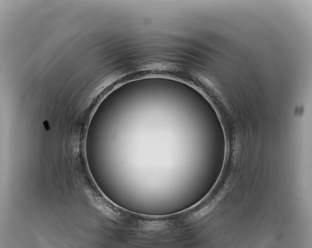 X0000089361017200706221155