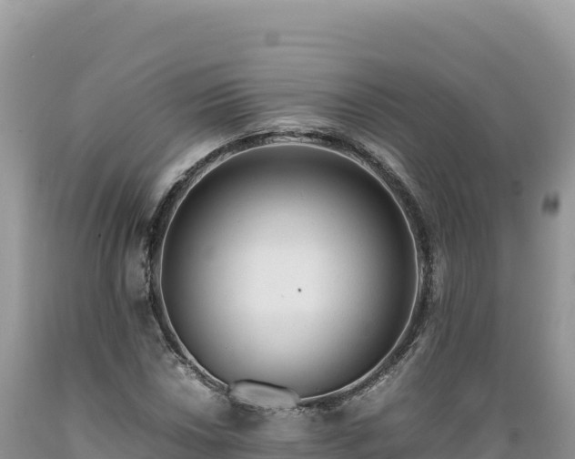 X0000089361018200706221155