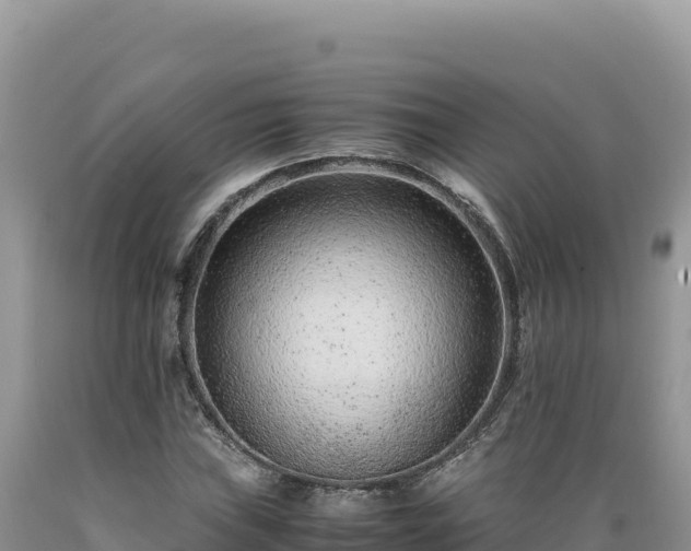 X0000089361019200706221155