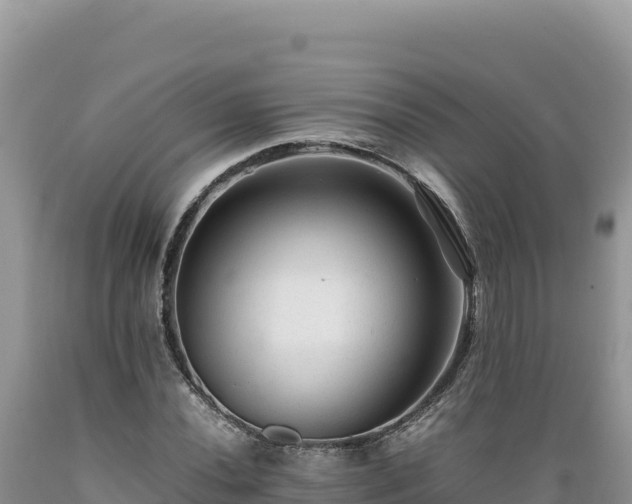 X0000089361020200706221155