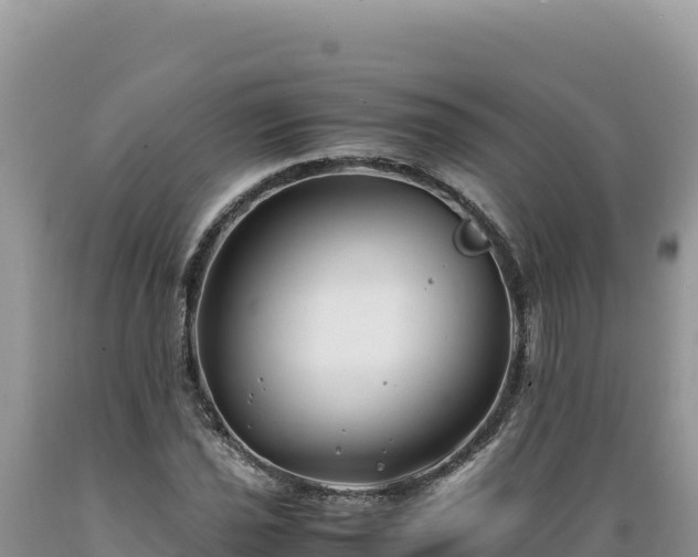 X0000089361021200706221155