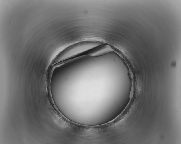 X0000089361022200706221155
