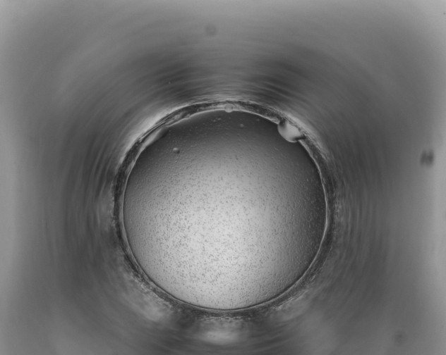 X0000089361023200706221155