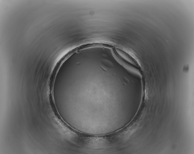 X0000089361024200706221155