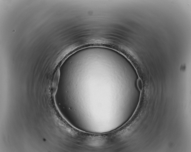 X0000089361025200706221155