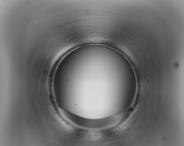 X0000089361026200706221155