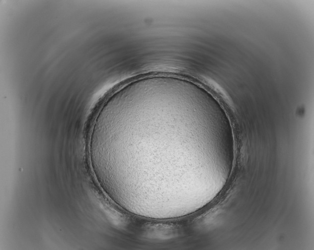 X0000089361027200706221155