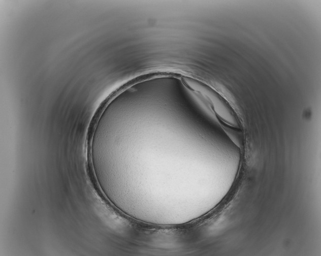 X0000089361028200706221155