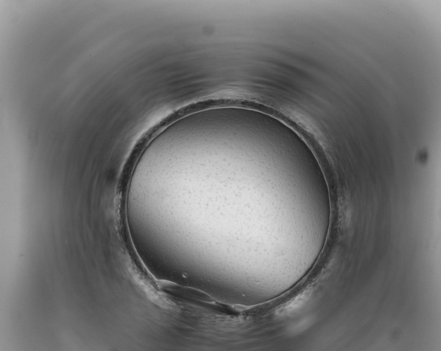 X0000089361029200706221155