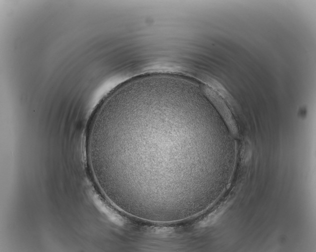 X0000089361030200706221155