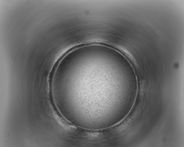 X0000089361031200706221156