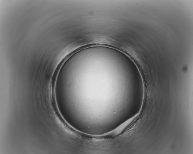 X0000089361032200706221156