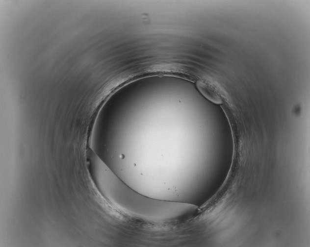 X0000089361033200706221156